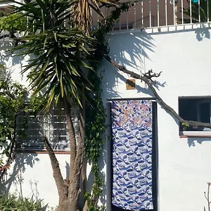 https://estudio-boho-chic-nuevo-bien-ubicado.catalonia-hotels.com